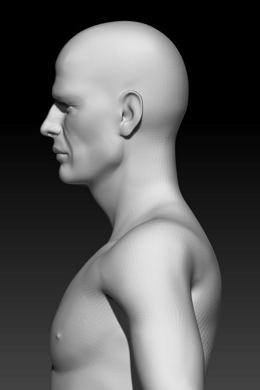 Male Base Mesh 2 3D model_3