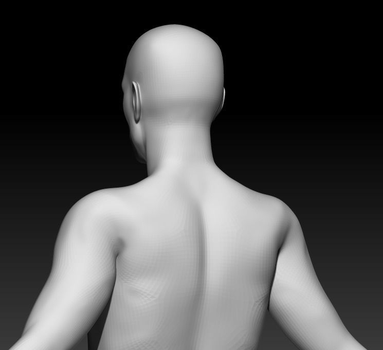 Male Base Mesh 2 3D model_4