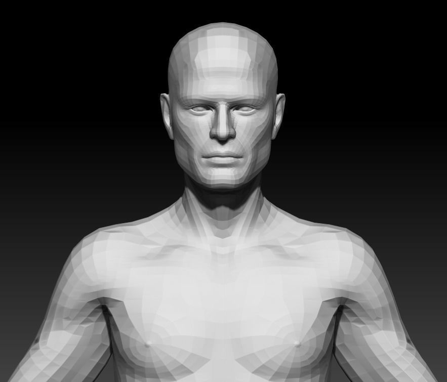 Male Base Mesh 2 3D model_5