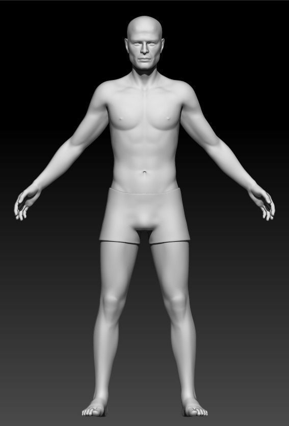 Male Base Mesh 2 3D model_2