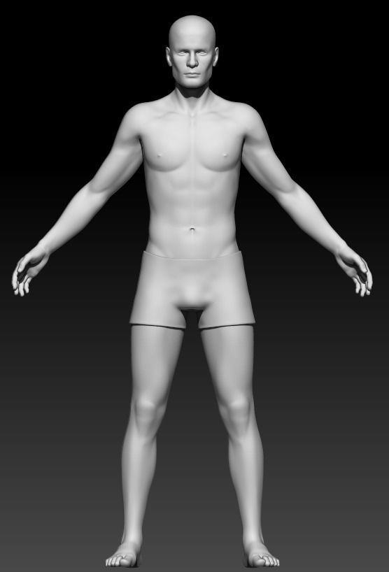 Male Base Mesh 3 3D model_2
