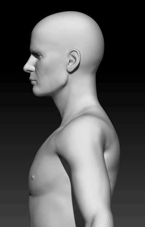 Male Base Mesh 3 3D model_3