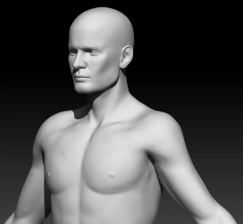 Male Base Mesh 3 3D model_0
