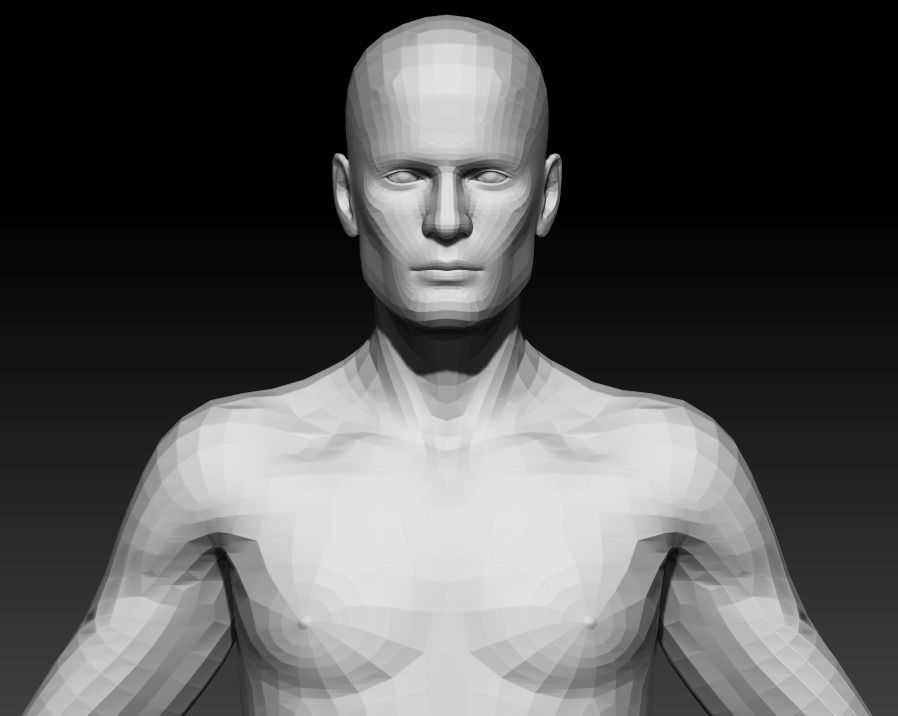 Male Base Mesh 3 3D model_5