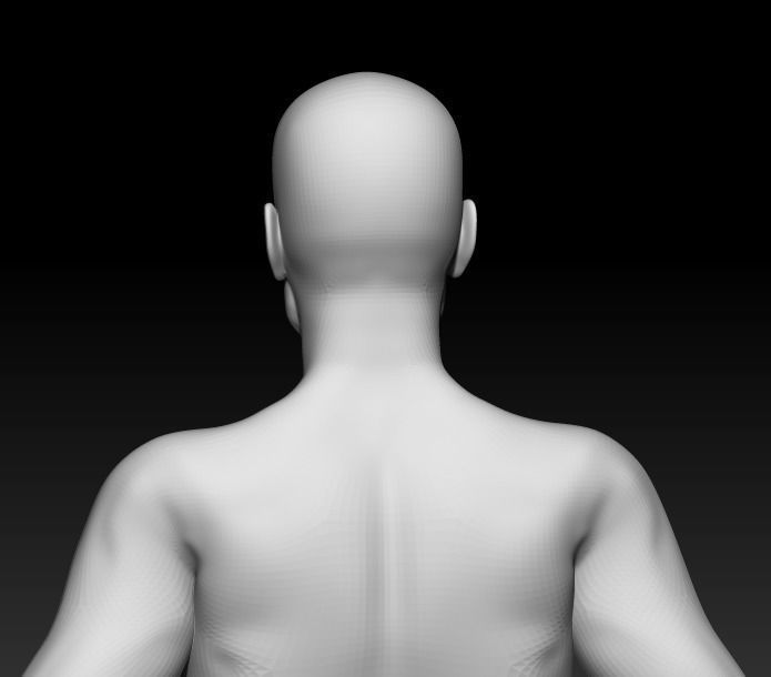 Male Base Mesh 3 3D model_4