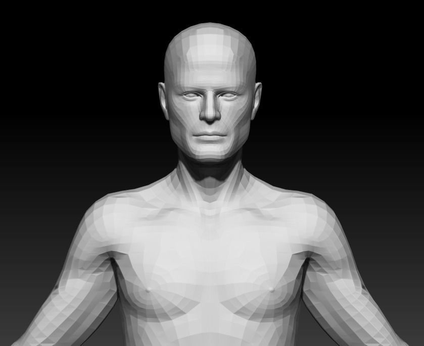 Male Base Mesh 4 3D model_5