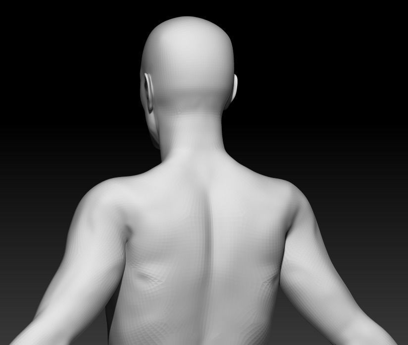 Male Base Mesh 4 3D model_4