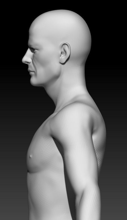 Male Base Mesh 4 3D model_3
