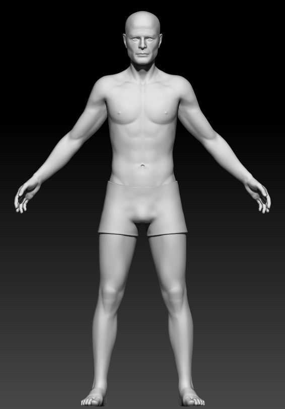 Male Base Mesh 4 3D model_2