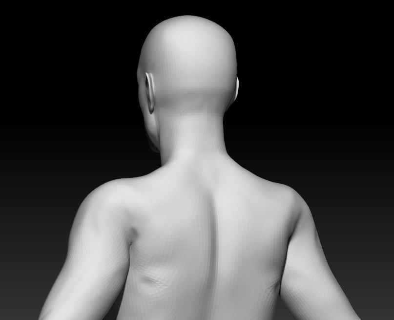 Male Base Mesh 5 3D model_4