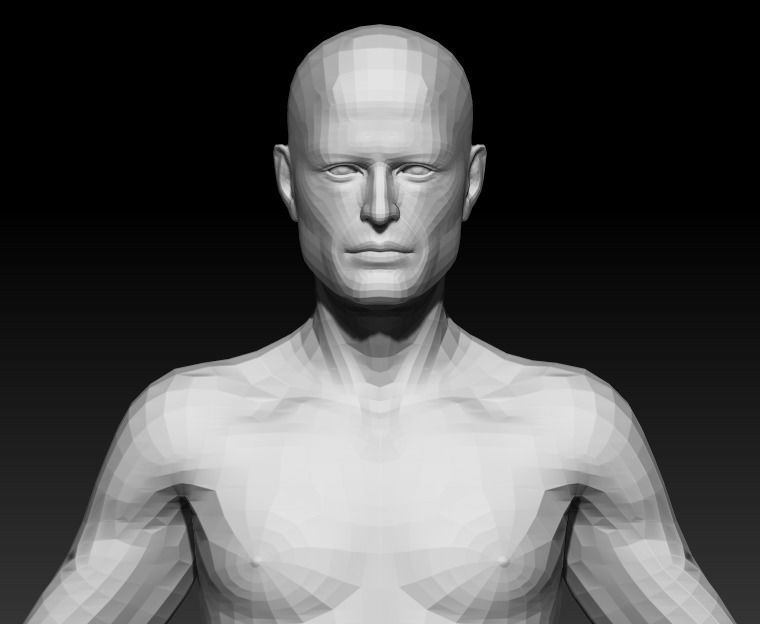 Male Base Mesh 5 3D model_5