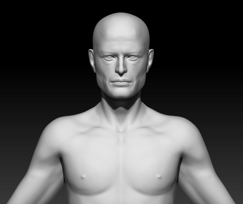 Male Base Mesh 5 3D model_1