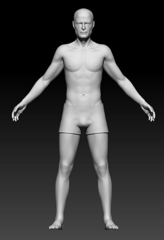 Male Base Mesh 5 3D model_2
