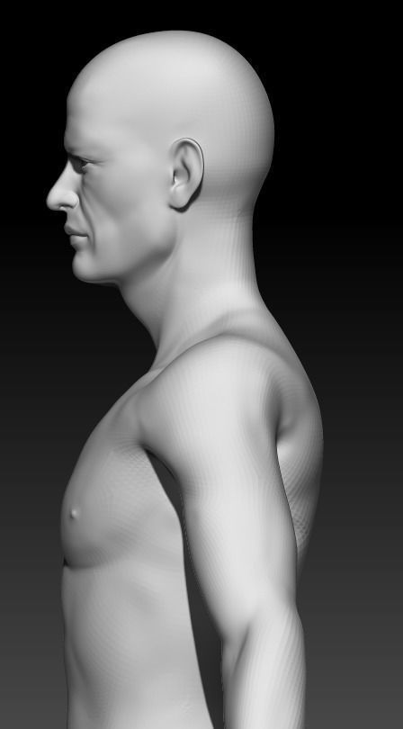 Male Base Mesh 5 3D model_3