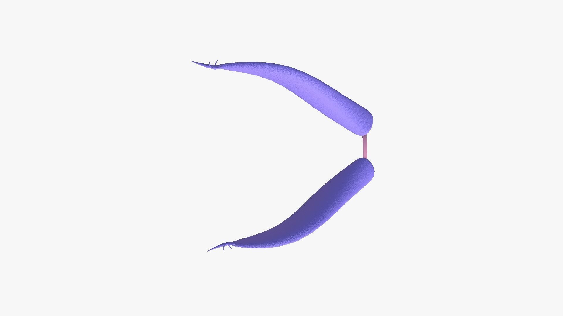 Furry Ears Tiara I08 Purple - Headband Character Design Low-poly 3D model_4