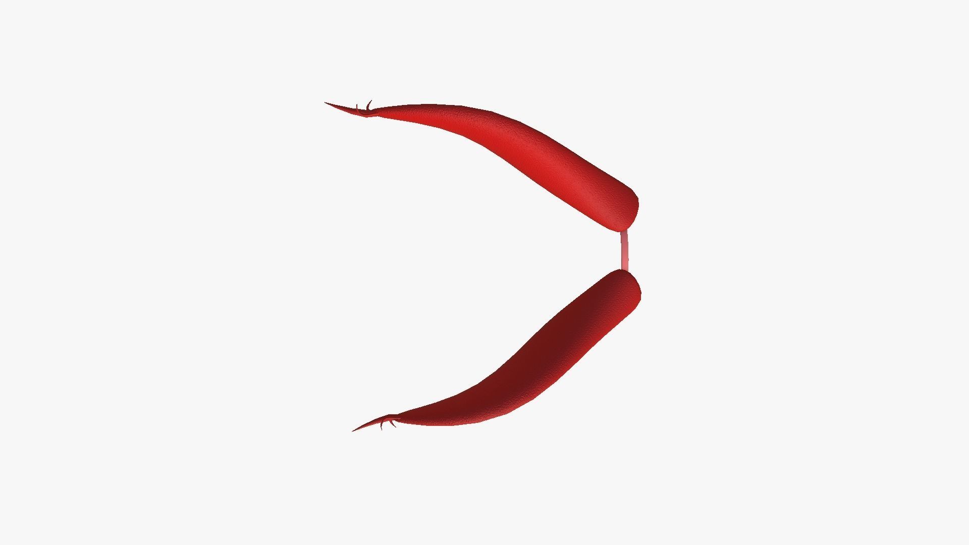 Furry Ears Tiara I10 Red - Headband Character Design Low-poly 3D model_4