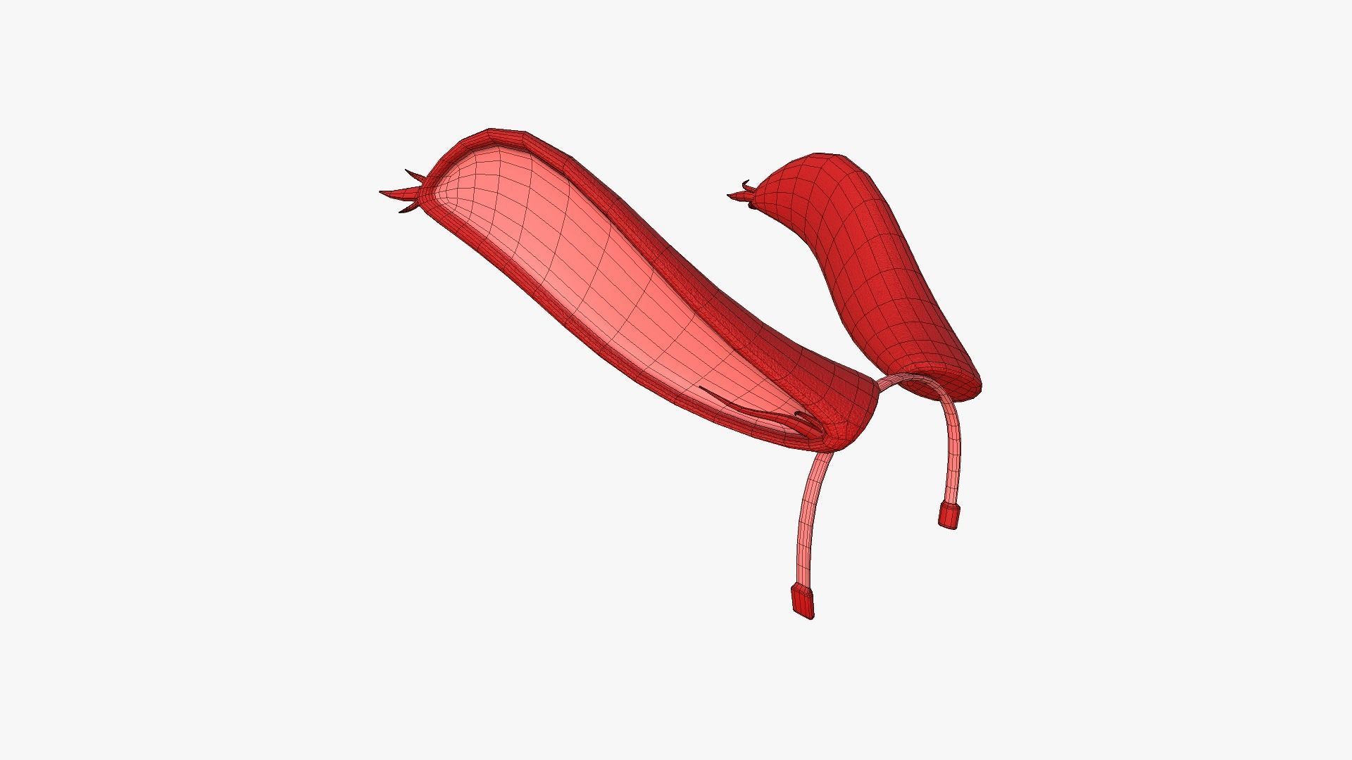 Furry Ears Tiara I10 Red - Headband Character Design Low-poly 3D model_6