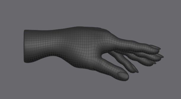 Retopologized female hand for rigging or models Low-poly 3D model_1