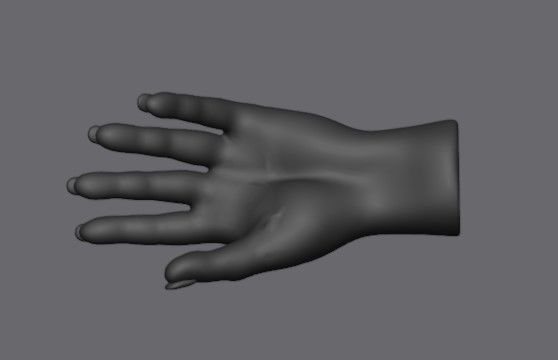 Retopologized female hand for rigging or models Low-poly 3D model_3