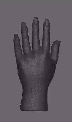 Retopologized female hand for rigging or models