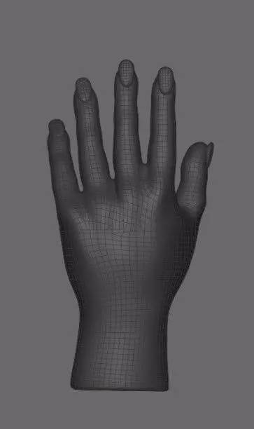 Retopologized female hand for rigging or models Low-poly 3D model_0