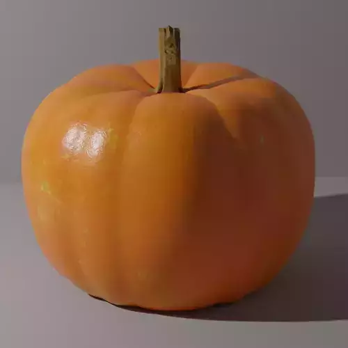 Pumpkin 3D Model 2023