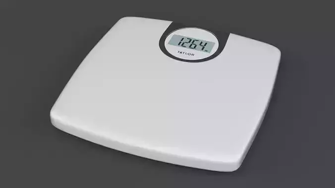 Digital Scale 3D model