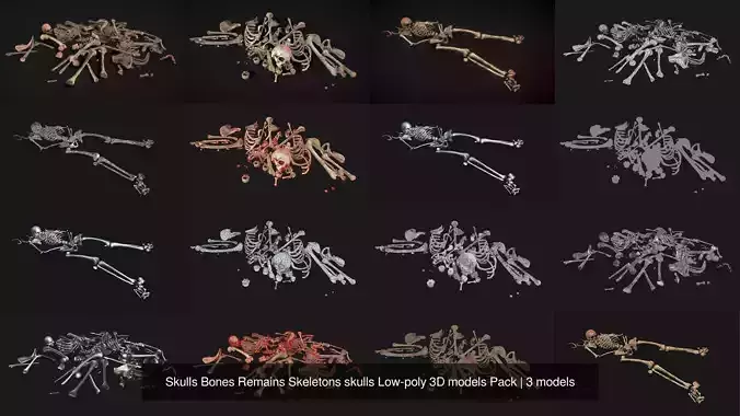 Skulls Bones Remains Skeletons skulls Low-poly 3D models Pack 3D Model Collection