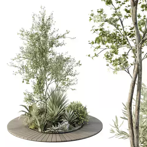 HQ Tree and bush garden box outdoor VOL 15 3D model