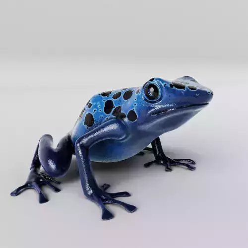 Blue Poison Dart frog 3D Model