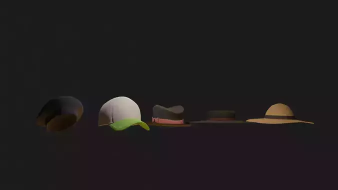 5 Hats 3D model