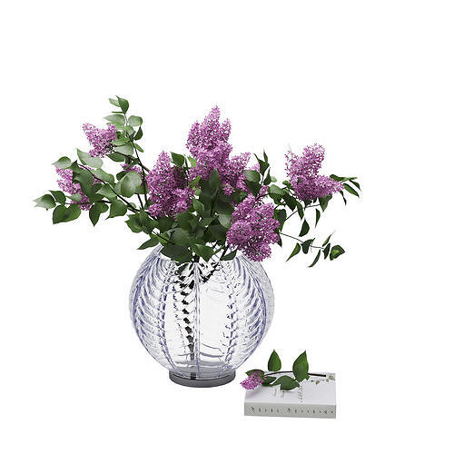 Lilak Vase  3D model