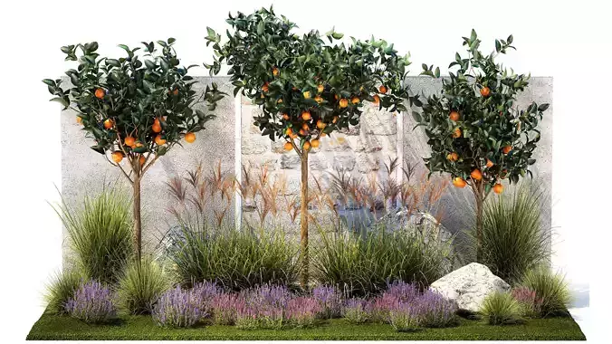 Garden with orange trees and lavender flowers 1394 3D model