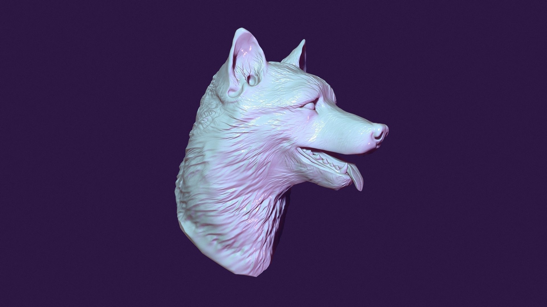 GERMAN SHEPHERD 3D print model_11