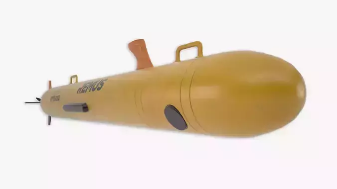 Remus 100 3D model