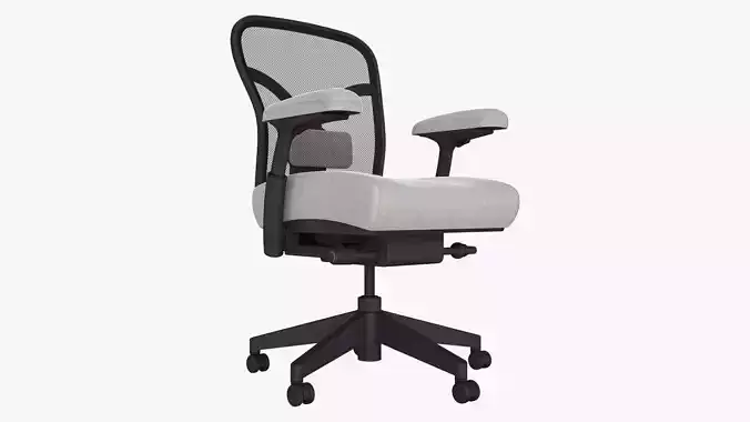 Low Back Ergonomic Office Chair