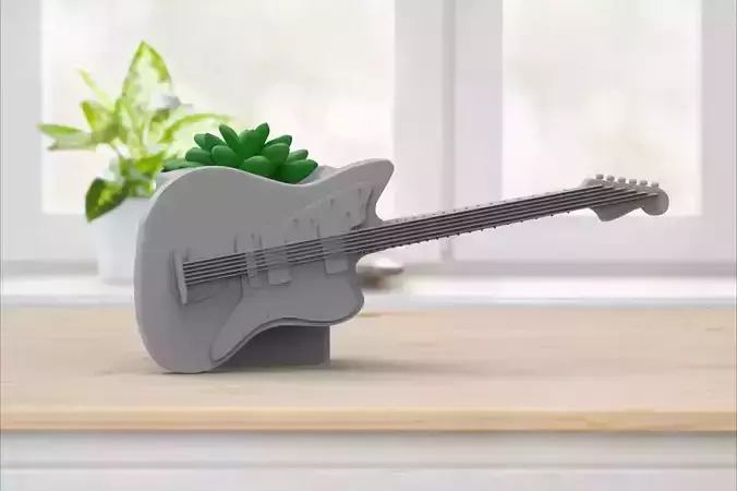 vase succulent musical guitar