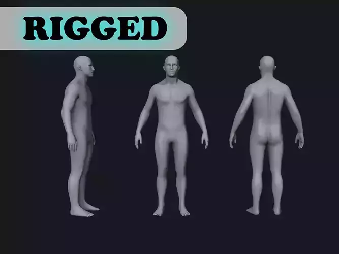 Human body rigged with IK