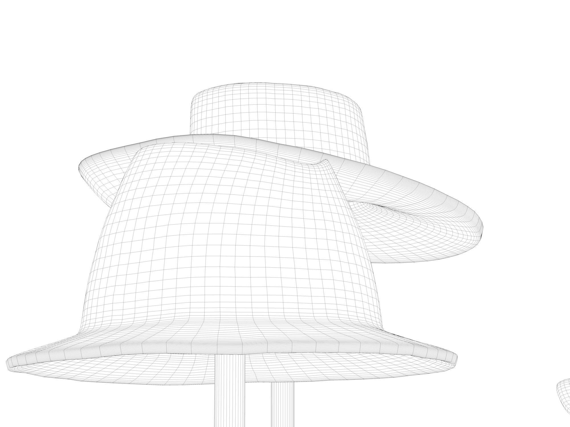Vintage Hat Molds 3D model_4