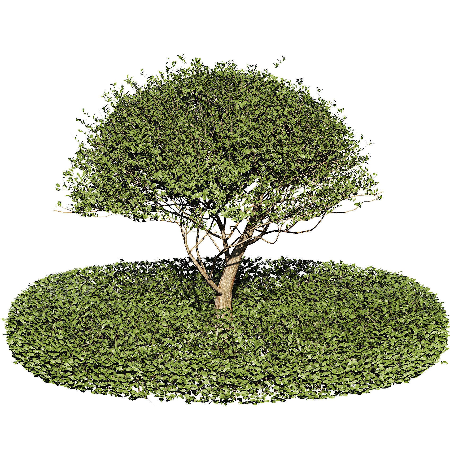 Landscaping and Hardscaping Low-poly 3D model_2