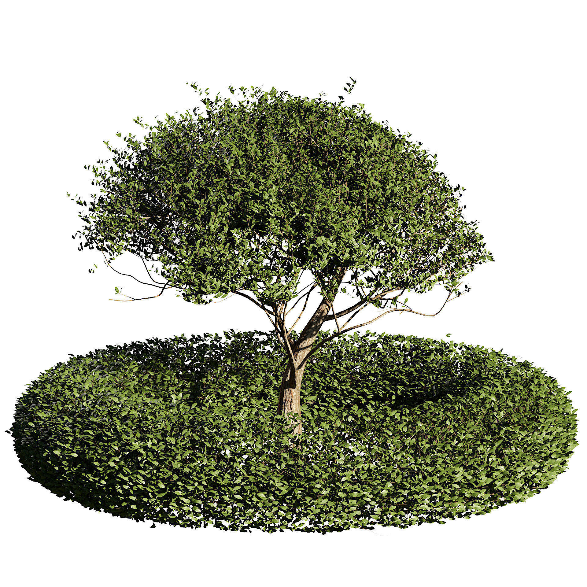 Landscaping and Hardscaping Low-poly 3D model_1