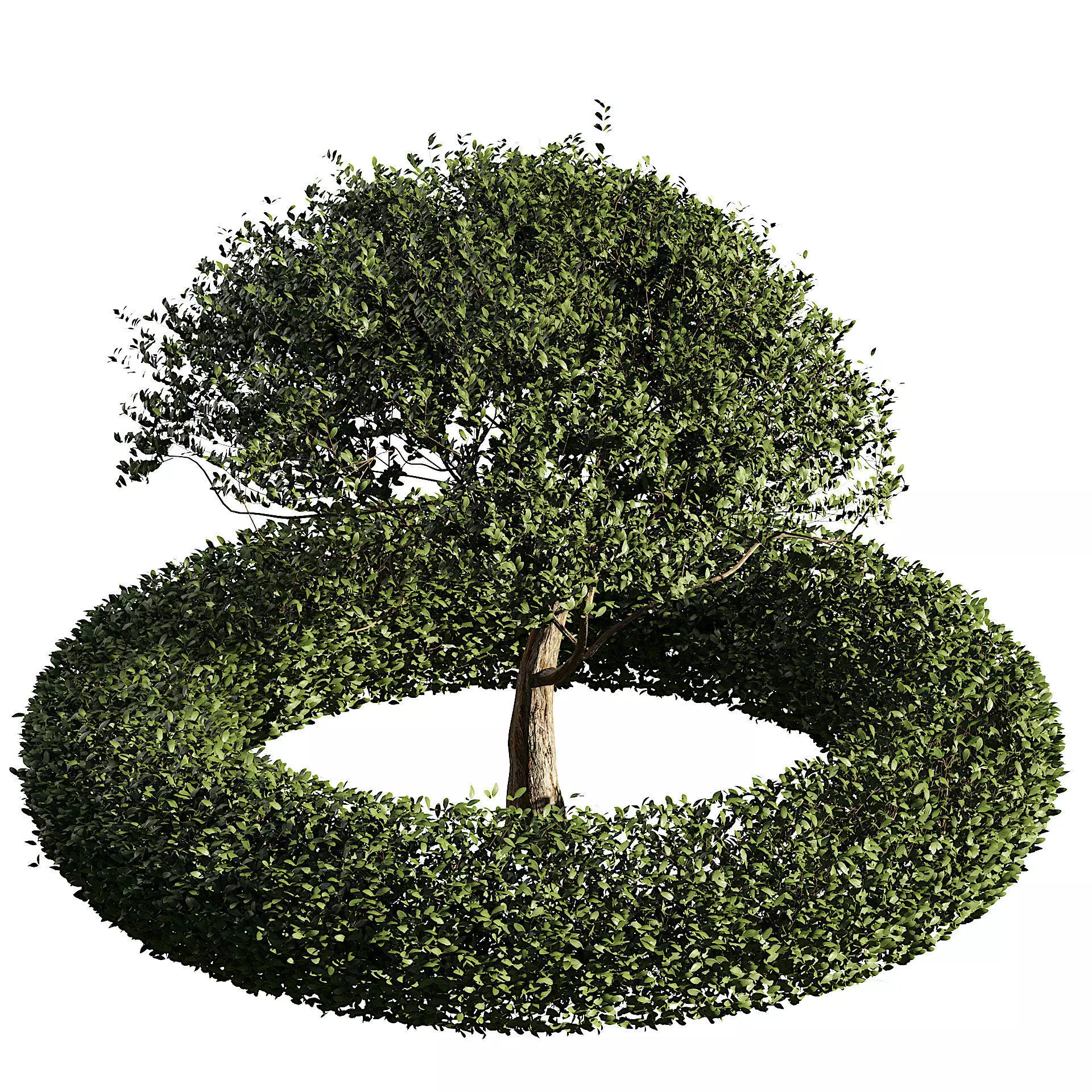 Landscaping and Hardscaping Low-poly 3D model_0