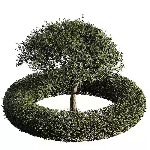 Landscaping and Hardscaping