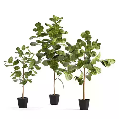 Faux Fiddle Leaf Fig Trees