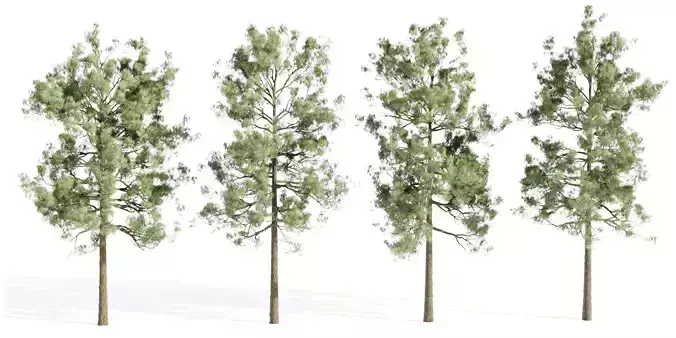 pine trees collection vol 19-Blender