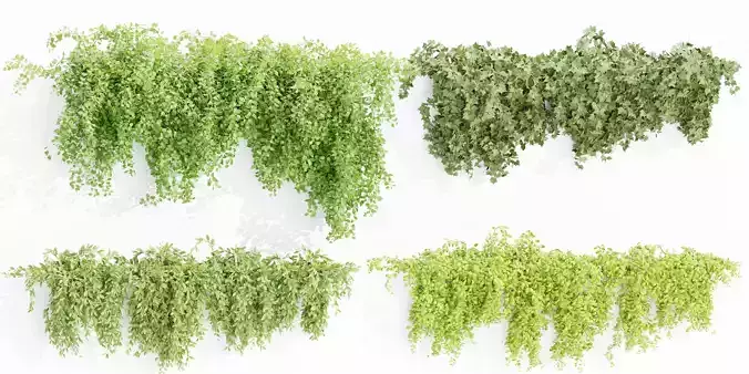 Hanging wall plants collection vol 64-Blender 3D model