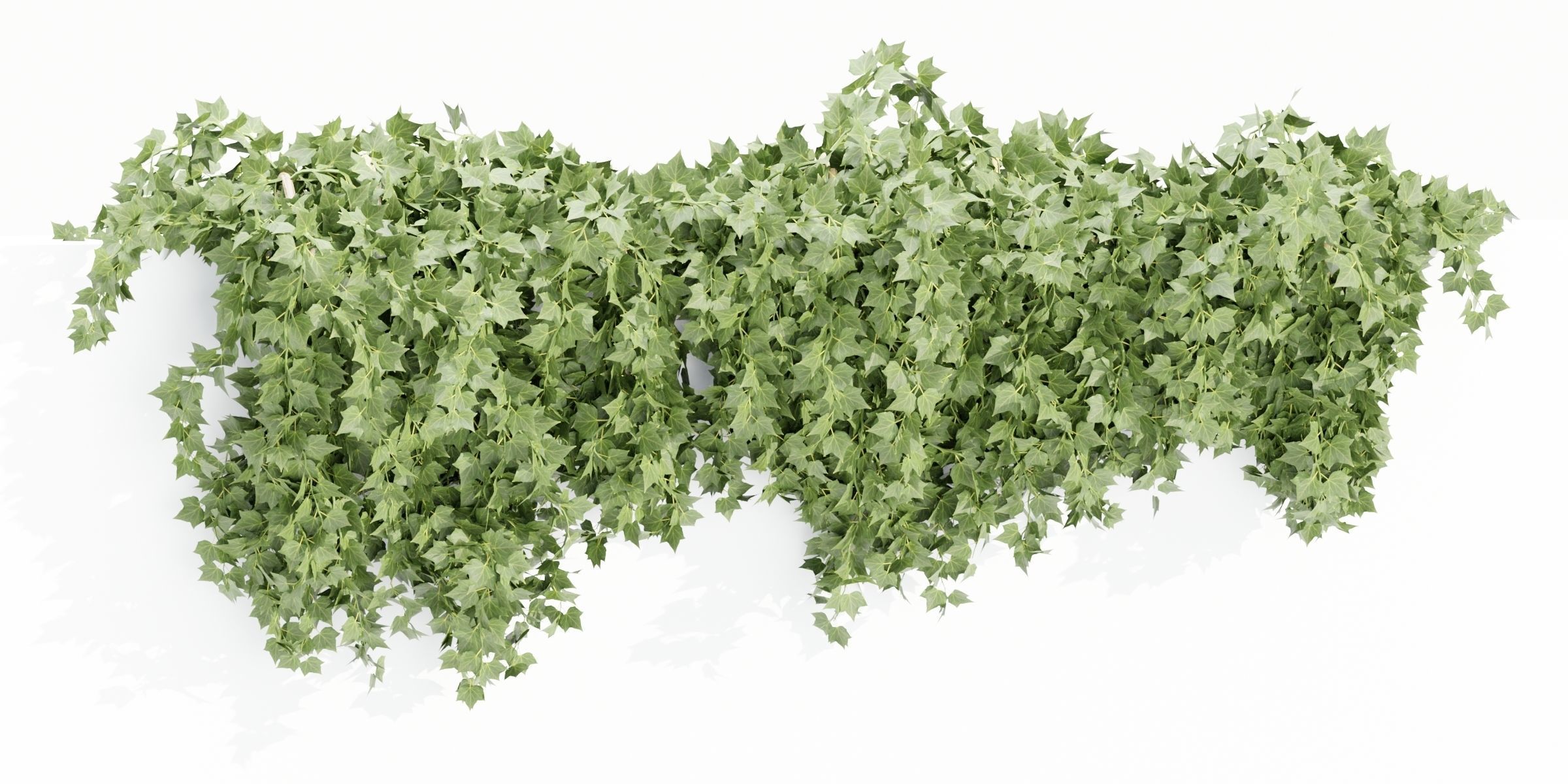 Hanging wall plants collection vol 64-Blender 3D model_6