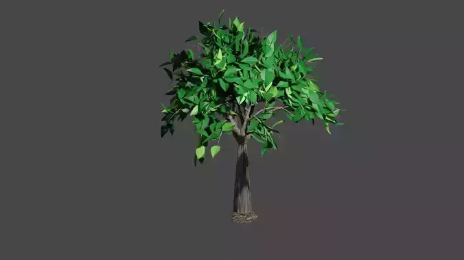 Tree 1 