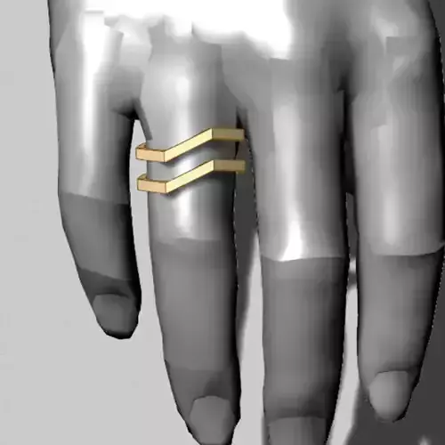 Twins Geometric Ring