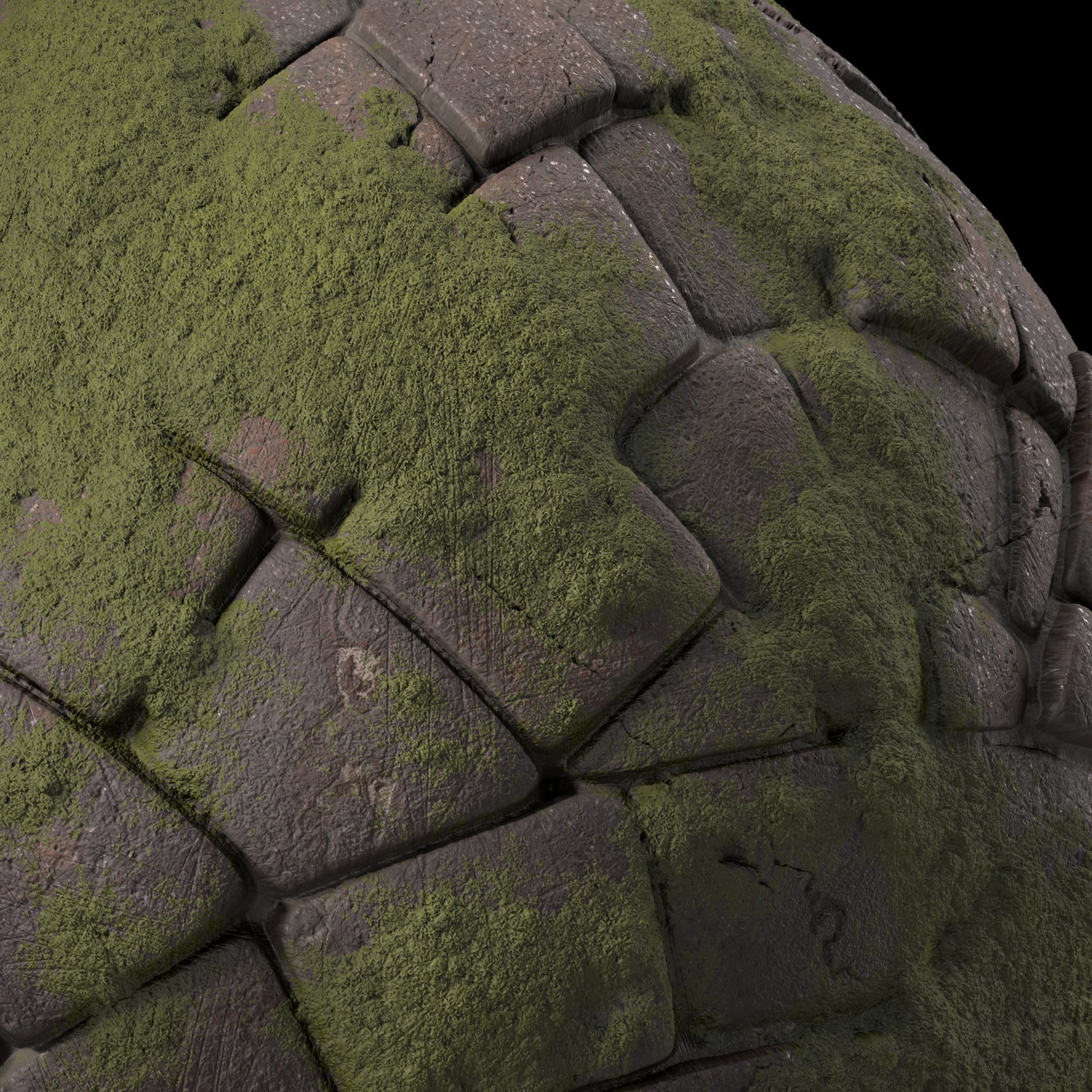 Pavement Materials 77- Stone Paving Mossy Sbsar Pbr 4k Seamless Texture_5